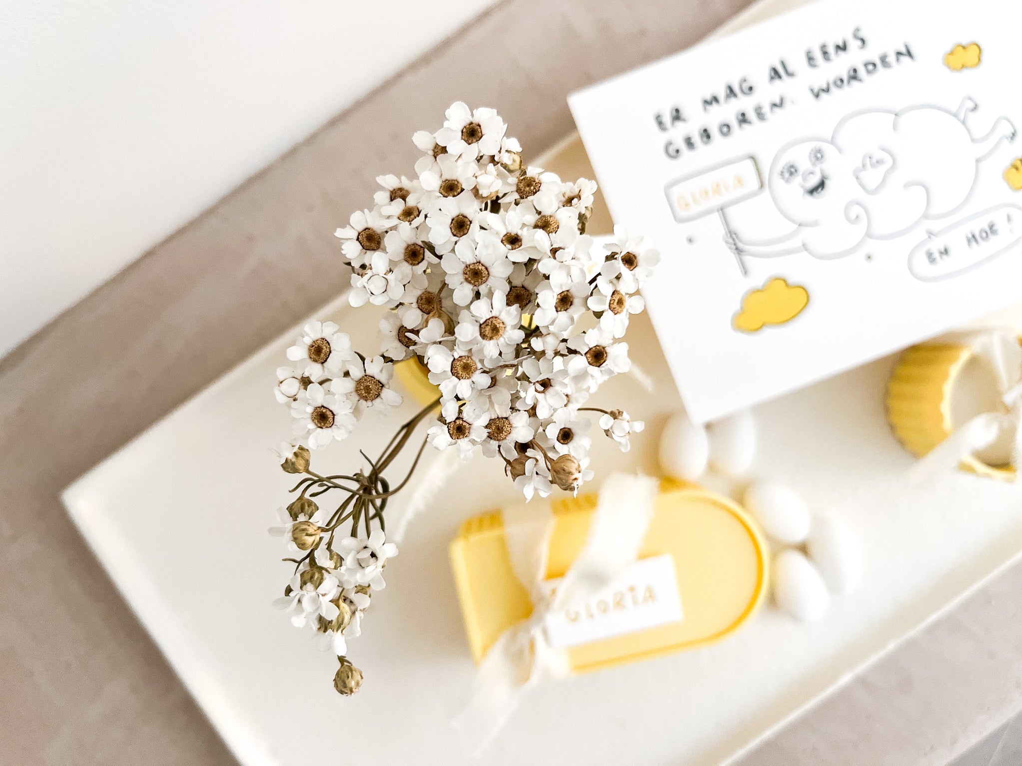 Welkom bij de Tiny Glory Shop – Tiny Glory Rijkevorsel